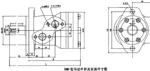 BMD[ҺR_(d)γߴ磨D